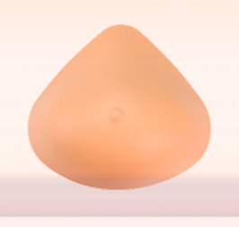 traingulo_web 1